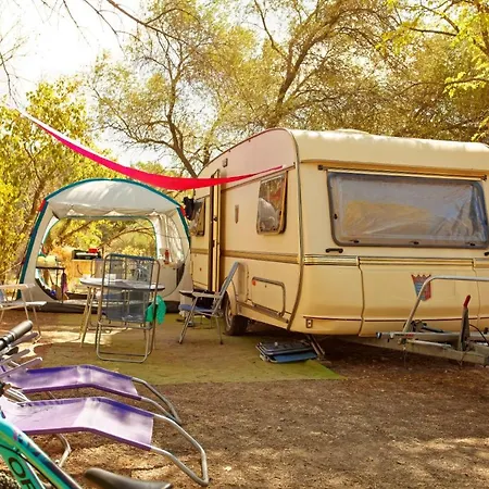 Campsite Camping L'olivier