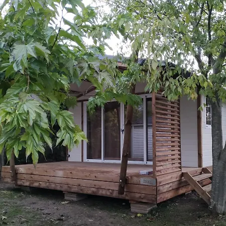 Campsite Camping L'olivier Junas