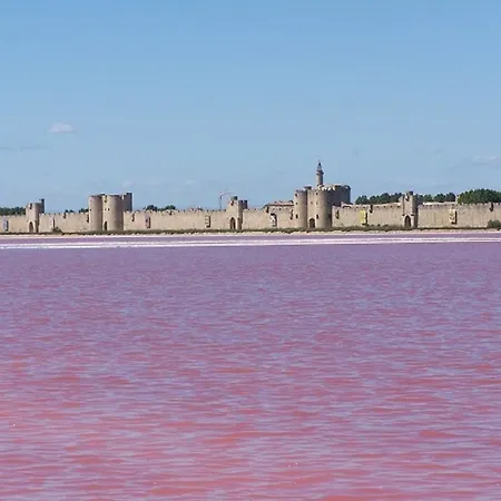 Campsite Camping L'olivier Junas