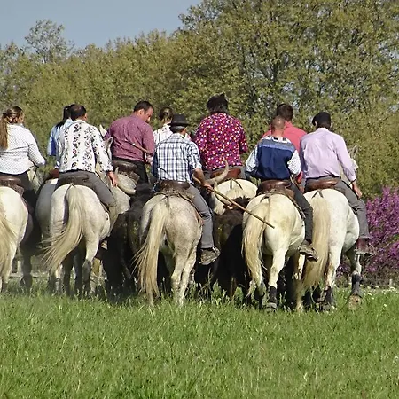 Camping L'olivier Campsite *