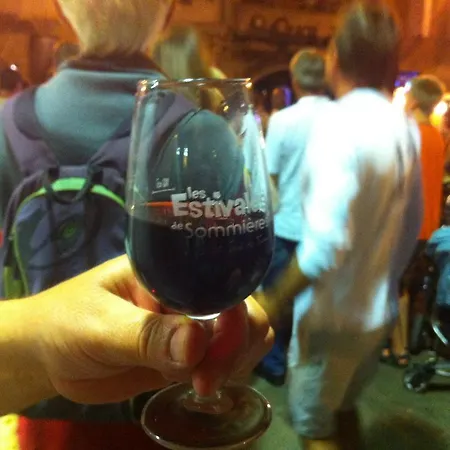 Campsite Camping L'olivier Junas