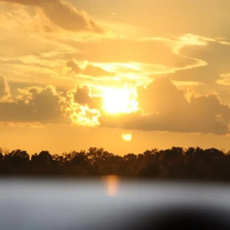 Camping L'olivier Campsite *