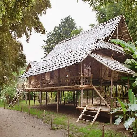 L'olivier Camping
