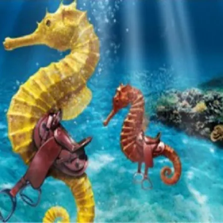 Camping L'olivier Campsite *