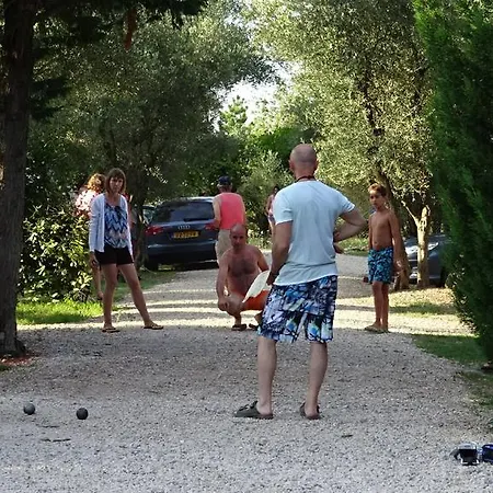 Campsite Camping L'olivier