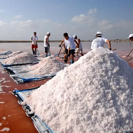 Camping L'olivier Campsite Junas