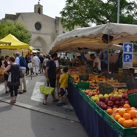 Campsite Camping L'olivier *